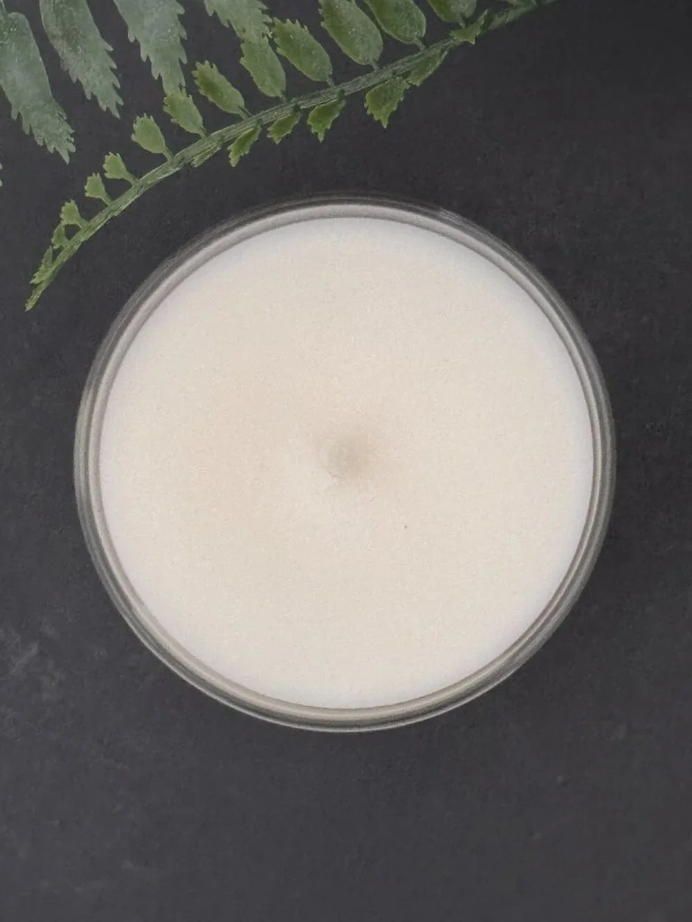 BBW Midnight Blue Citrus White Barn Bath & Body Works Single Wick Candle